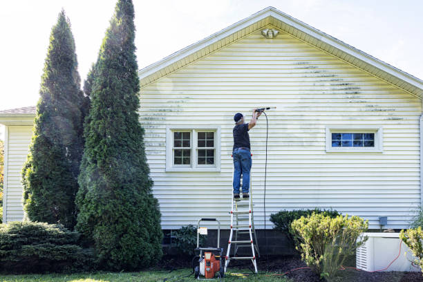 Best Driveway Pressure Washing  in Stafford, TX